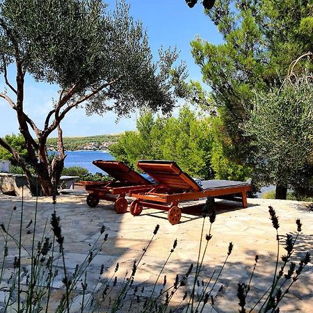 Villa Gjardini - Sparadici Grebaštica Exteriör bild