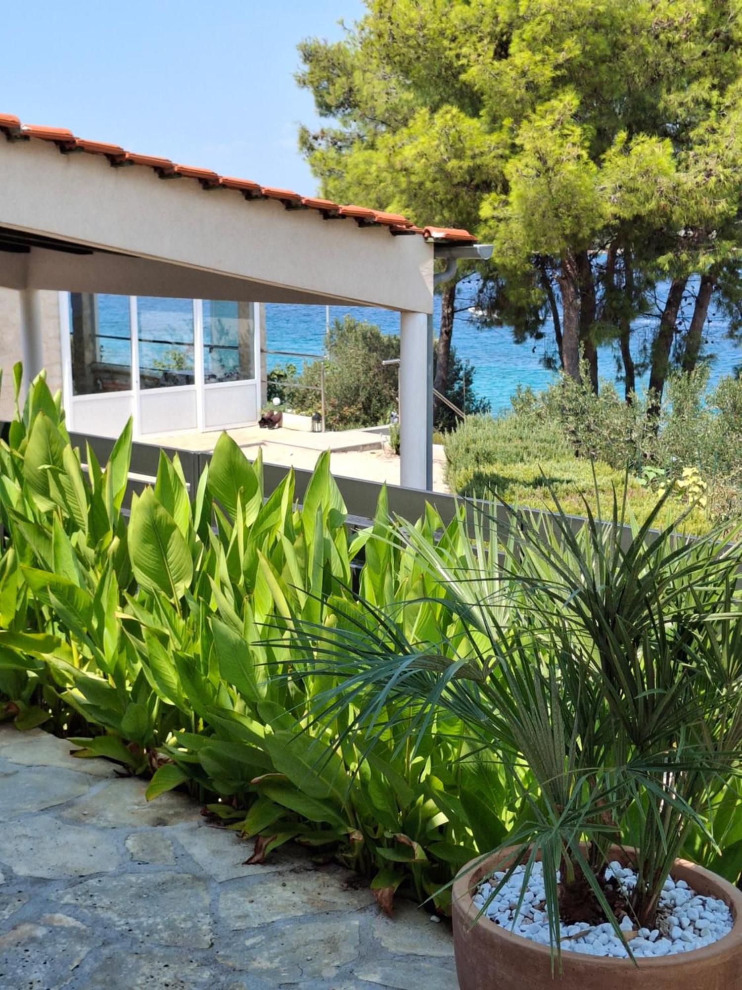 Villa Gjardini - Sparadici Grebaštica Exteriör bild